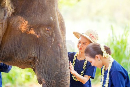 Closeup beautiful rural Thai woman touching and play with trunk of Asian elephant on blurred background.