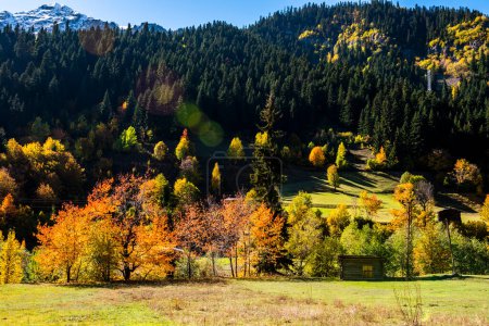 Téléchargez les photos : Vue d'automne à Savsat. Artvin, Turquie. Beau paysage d'automne avec des arbres colorés. - en image libre de droit