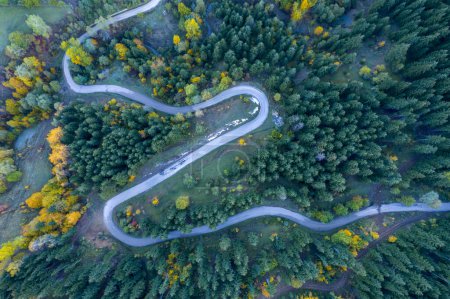 Photo for Autumn view in Savsat. Artvin, Turkey. Beautiful autumn landscape with winding road. Aerial drone shot. - Royalty Free Image