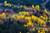 Autumn view in Savsat. Artvin, Turkey. Beautiful autumn landscape with colorful trees. Poster #627210774