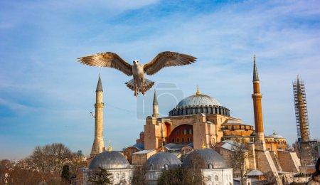 Téléchargez les photos : Hagia Sophia / Ayasofya. Hagia Sophia est le célèbre bâtiment historique d'Istanbul. Turquie. - en image libre de droit