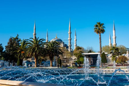 Foto de Estambul, Turquía - 18 de febrero de 2024: Mezquita Azul (Sultanahmet Camii) en Estambul, Turquía. Mezquita azul con tulipán. - Imagen libre de derechos