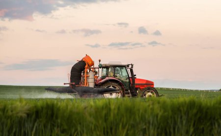 Photo for Tractor spraying pesticides over a green field - Royalty Free Image