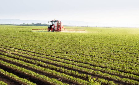 Tractor rociando pesticidas en campo de soja con pulverizador en primavera
