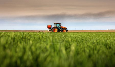 Traktor streut Kunstdünger aus. Verkehr, Landwirtschaft.
