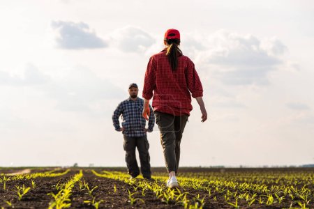 Photo pour Les jeunes agriculteurs examinent les jeunes plants de maïs au printemps - image libre de droit