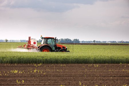 Téléchargez les photos : Pulvérisation de pesticides sur un champ vert - en image libre de droit