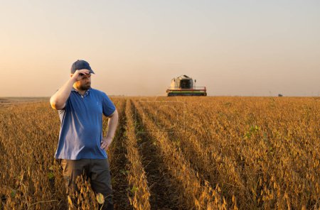 Foto de Agricultor en campos de soja. Crecimiento, al aire libre.Un agricultor mira la soja durante la cosecha. - Imagen libre de derechos
