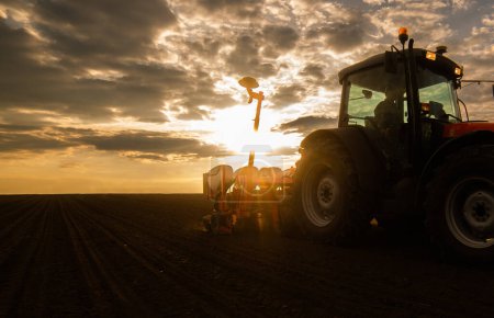 Foto de Agricultor con siembra de tractores - siembra de cultivos en campos agrícolas al atardecer - Imagen libre de derechos