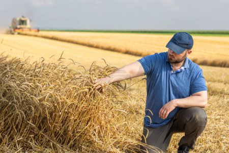 Photo for Young farmer standing  on field wheat, combine harvester in background - Royalty Free Image