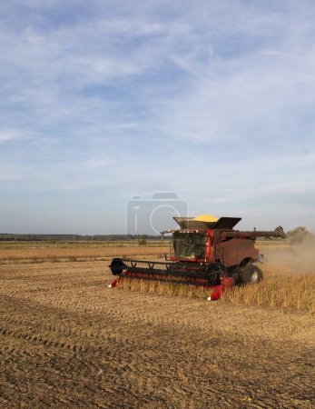 Foto de Una cosechadora que trabaja en un campo de trigo - Imagen libre de derechos