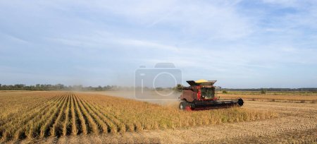 Photo for A combine harvester working in a wheat field - Royalty Free Image