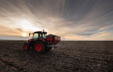 Photo for Farmer fertilizing arable land with nitrogen fertilizer in sunset - Royalty Free Image