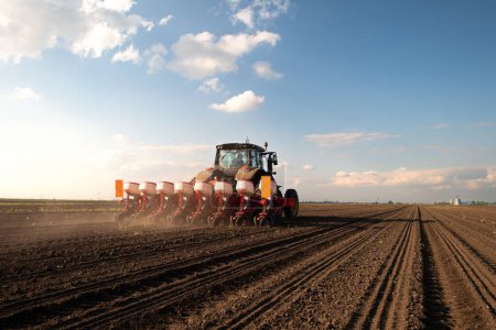 Foto de Agricultor con siembra de tractores - siembra de cultivos en el campo agrícola. Plantas, trigo. - Imagen libre de derechos