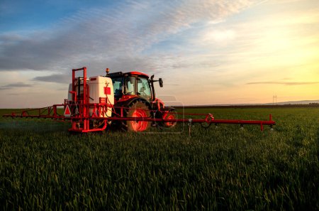 Tractor spraying pesticides on field  with sprayer 