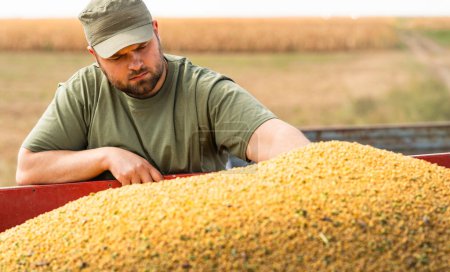 Satisfied farmer after soybean harvest