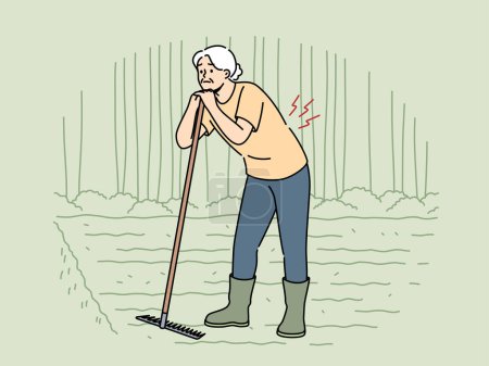 Illustration for Elderly woman farmer with bad back stands on plantation and leans on rake in need of doctor help. Farmer grandmother suffers from sciatica or osteochondrosis causing pain in spine. - Royalty Free Image