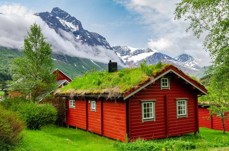 Un chalet typique en bois rouge de falu norvégien avec de l'herbe et des mauvaises herbes poussant hors du toit. Beau paysage de montagne.