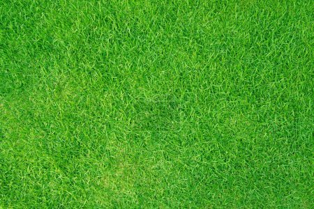 Photo for Artificial grass field meadow green. Top View Texture. - Royalty Free Image