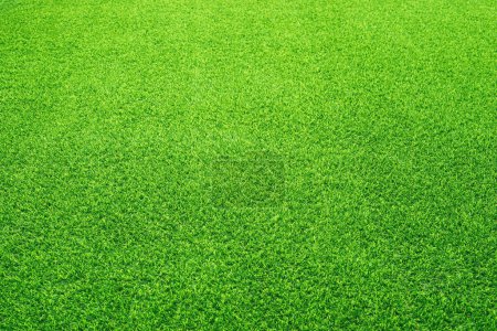 Artificial grass field meadow green. Top View Texture.	