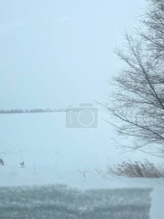 Téléchargez les photos : Blizzard blanc dans le Midwest en hiver - en image libre de droit