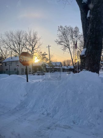 Téléchargez les photos : Couverture de neige dans le Minnesota pays des merveilles d'hiver - en image libre de droit