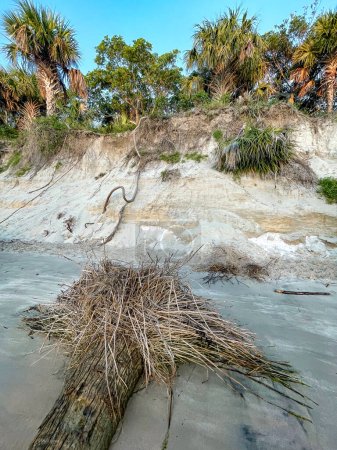 Téléchargez les photos : Lever de soleil brumeux sur la plage en Floride - en image libre de droit