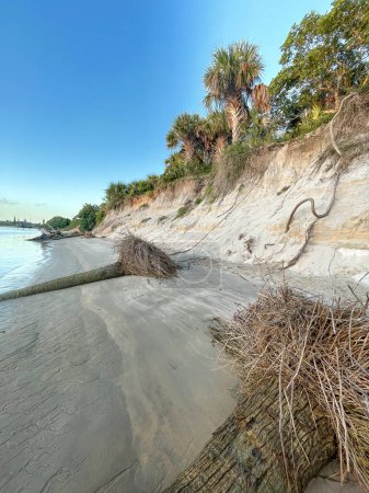 Téléchargez les photos : Lever de soleil brumeux sur la plage en Floride - en image libre de droit