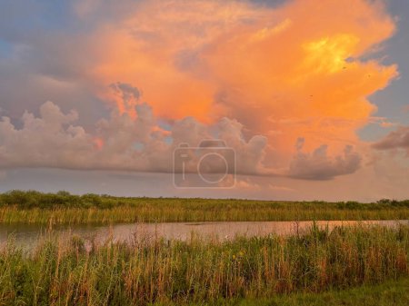 Photo for Sunset in the Florida Everglades Swamp - Royalty Free Image