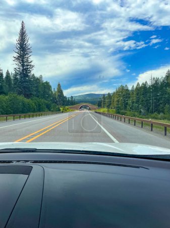 Foto de Conducir en las montañas de Montana - Imagen libre de derechos