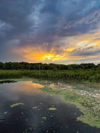 Téléchargez les photos : Coucher de soleil marécageux en Louisiane dans le bayou - en image libre de droit