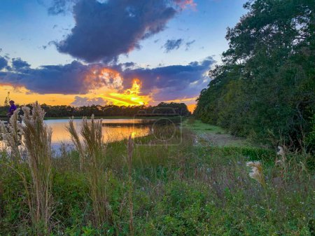 Photo for Orange sun sets in a lake in Florida - Royalty Free Image
