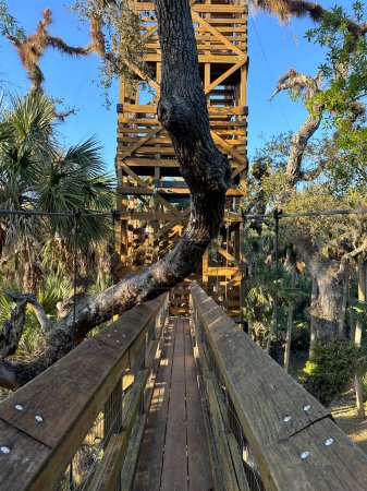 Pont piétonnier en bois surélevé dans le parc d'État de Myakka River en Floride