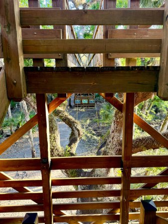 Pont piétonnier en bois surélevé dans le parc d'État de Myakka River en Floride