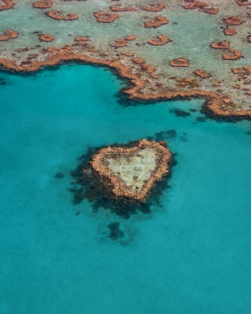 Photo for Heart Reef in the Whitsundays Queensland Australia. Famous reef that is shaped like a heart. The Great Barrier Reef aeria is heavily impacted by climate change. photo taken in Australia. - Royalty Free Image