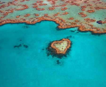 Téléchargez les photos : Heart Reef in the Whitsundays Queensland Australie. Récif célèbre en forme de cœur. La Grande Barrière de Corail aeria est fortement touchée par le changement climatique. photo prise en Australie. - en image libre de droit