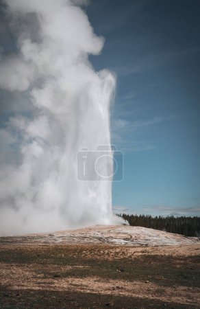 Errupting Old Faithful Geyser in Yellowstone National Park, Wyoming, USA. Travel and adventure concept. Blue sky and sunny day. Photo taken in USA.