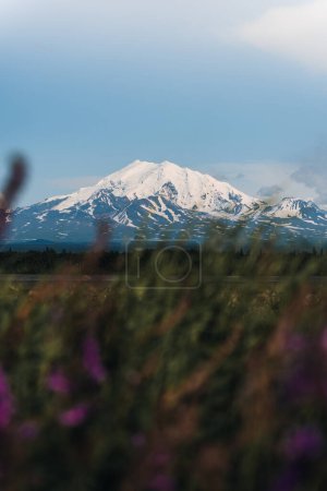 Photo for Mount Drum in Alaska. Driving towards Glenallen on Highway 1, the Glenn Highway, in Alaska, leads right in front of Mount Drum, with its snowy peak towering at the end of the road. Photo taken in - Royalty Free Image