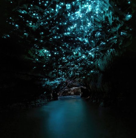 Téléchargez les photos : Grottes Waitomo Glowworm, Waikato, Nouvelle-Zélande Île du Nord. Photo prise en Nouvelle-Zélande. - en image libre de droit