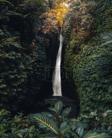 Photo for Leke Leke waterfall in tropical jungle and alone woman in bikini in Bali, Indonesia. - Royalty Free Image