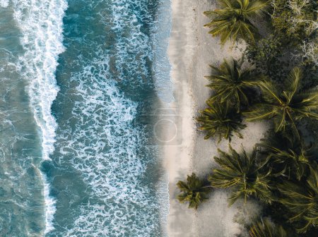Foto de Vista aérea del dron en la playa de arena, palmera y océano en la isla caribeña de Martinica, Francia. Foto tomada en Martinica. - Imagen libre de derechos