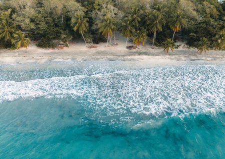 Foto de Vista aérea del dron en la playa de arena, palmera y océano en la isla caribeña de Martinica, Francia. Foto tomada en Martinica. - Imagen libre de derechos