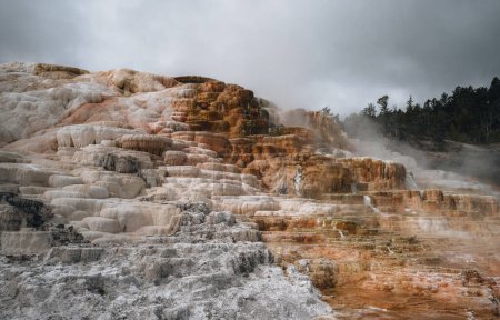 Téléchargez les photos : Vue latérale de Canary Spring et des terrasses dans le secteur Mammoth Hot Spring du parc national Yellowstone, wyoming, États-Unis. Photo prise aux États-Unis. - en image libre de droit