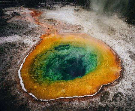 Photo for Morning Glory Pool, hot spring in the Upper Geyser Basin of Yellowstone National Park, Wyoming, USA. Photo taken in USA. - Royalty Free Image