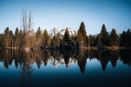 Téléchargez les photos : Teton Range reflété sur l'étang de castors à Schwabacher Landing, Grand Teton National Park, Wyoming. Photo prise aux États-Unis. - en image libre de droit