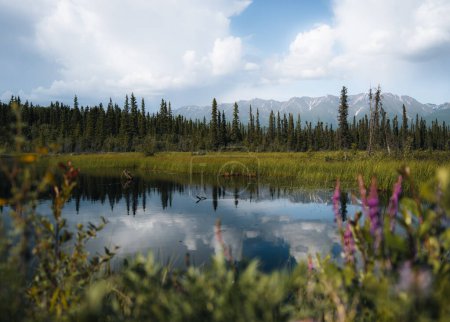 Foto de Lago de la serenidad en tundra en Alaska con reflexión. Autopista Denali y parque nacional Denali. Montañas en primavera. Alaska, Estados Unidos - Imagen libre de derechos
