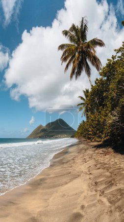 Foto de Caribe Martinica Playa Diamante con palma de coco y cielo azul. Concepto de viaje para vacaciones en la playa. Territorio francés de ultramar. Foto tomada en Francia. - Imagen libre de derechos