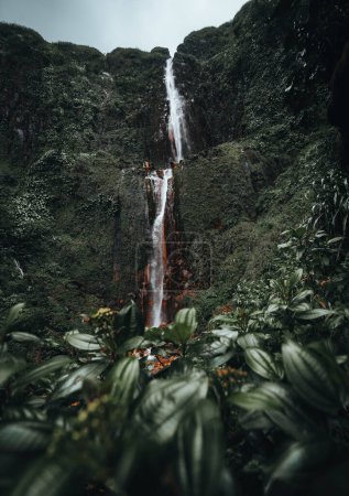 Téléchargez les photos : Cascade en Guadeloupe Caraïbes île. Chutes du Carbet, cascade dans le parc national de la Guadeloupe - en image libre de droit