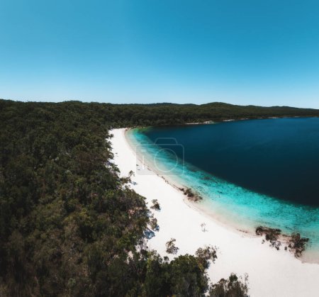 Téléchargez les photos : Drone aérien Lac McKenzie, Kgari Fraser Island, Queensland, Australie - en image libre de droit