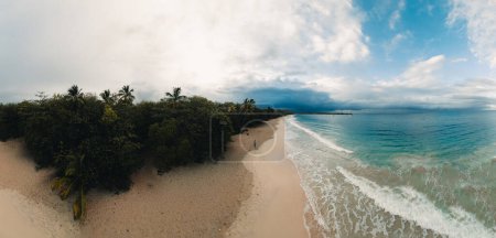 Téléchargez les photos : Panorama aérien par drone de la plage de l'anse de salines, grande terre, martinique, caribéenne. - en image libre de droit